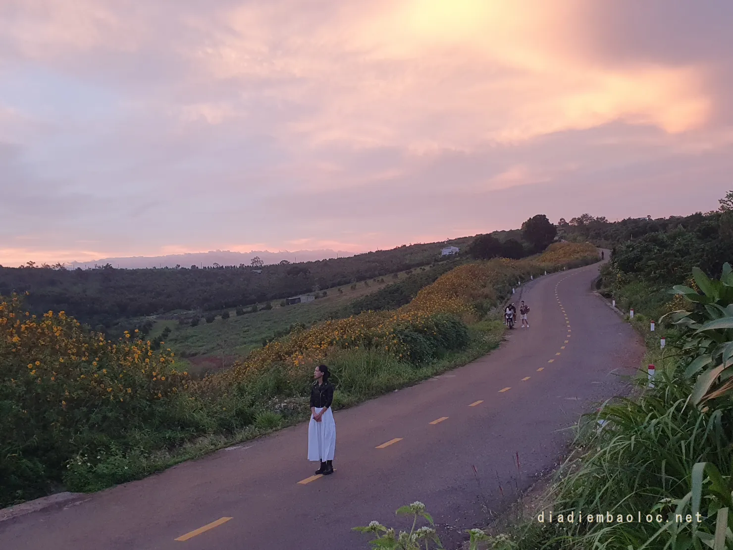 hoa da quy bao loc 14