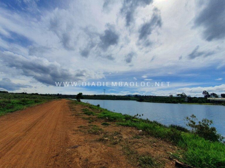 Đập Mai Thành 1