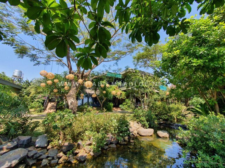 Phạm Garden Coffee 11