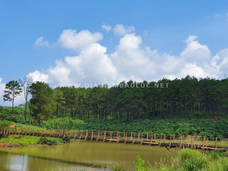 Hồ Cai Bảng 3