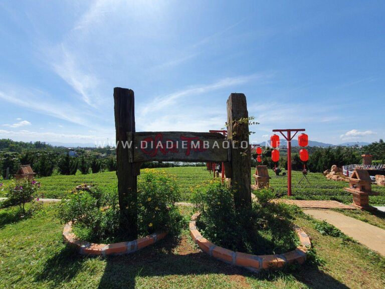 Chùa Trà Bảo Lộc 12