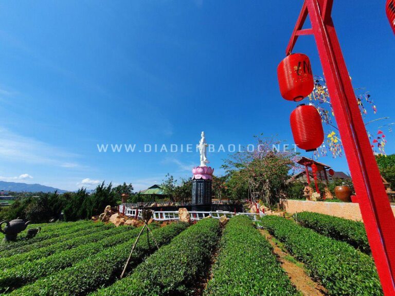 Chùa Trà Bảo Lộc 10