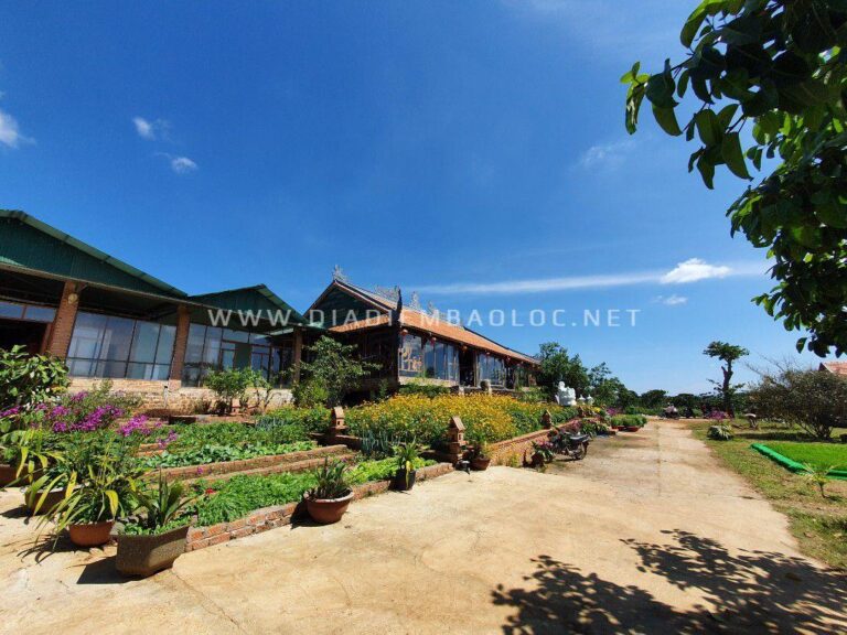 Chùa Trà Bảo Lộc 9