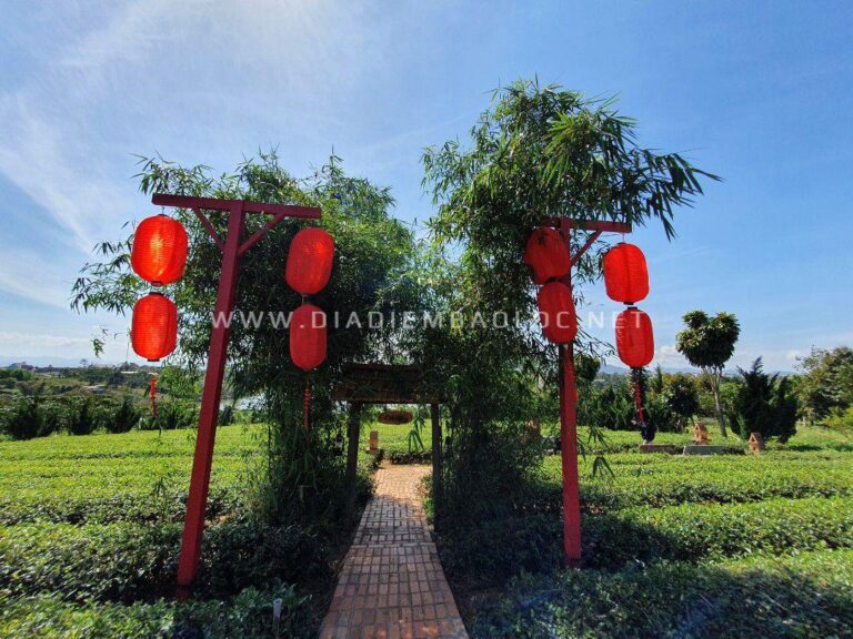 Chùa Trà Bảo Lộc 3