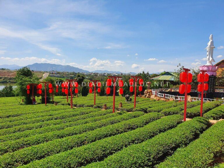 Chùa Trà Bảo Lộc 15