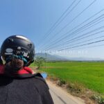 [Cung Đường] Bảo Lộc- Bình Thuận Qua Đèo Tà Pứa Xuống Võ Xu Gắm Đồng Lúa
