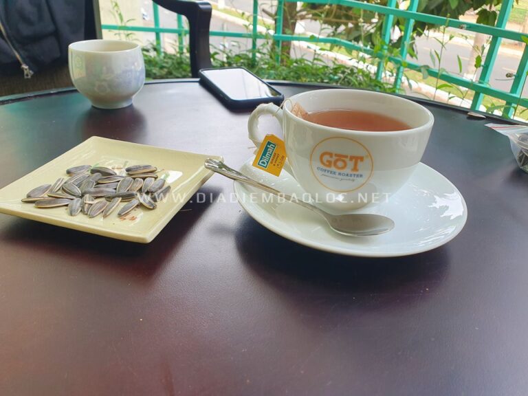 GOT Coffee Bảo Lộc 16