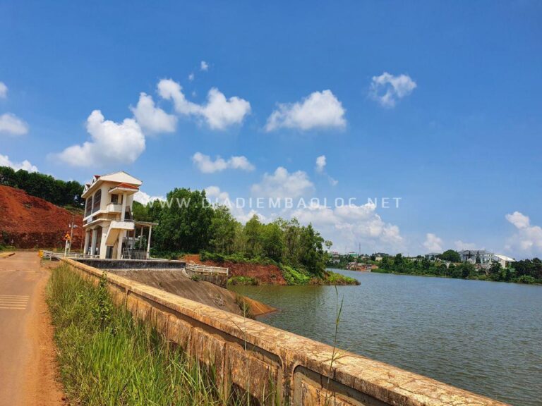 Hồ Cai Bảng 9