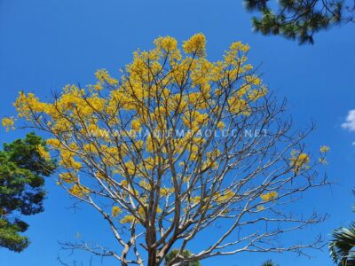 tuvien bat nha bao loc (1)