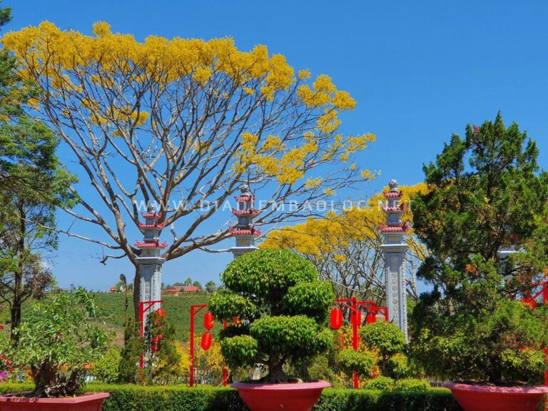 Tu viện Bát Nhã 16