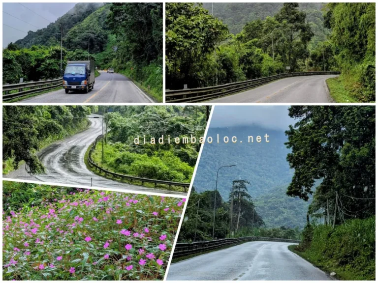 Đèo Bảo Lộc