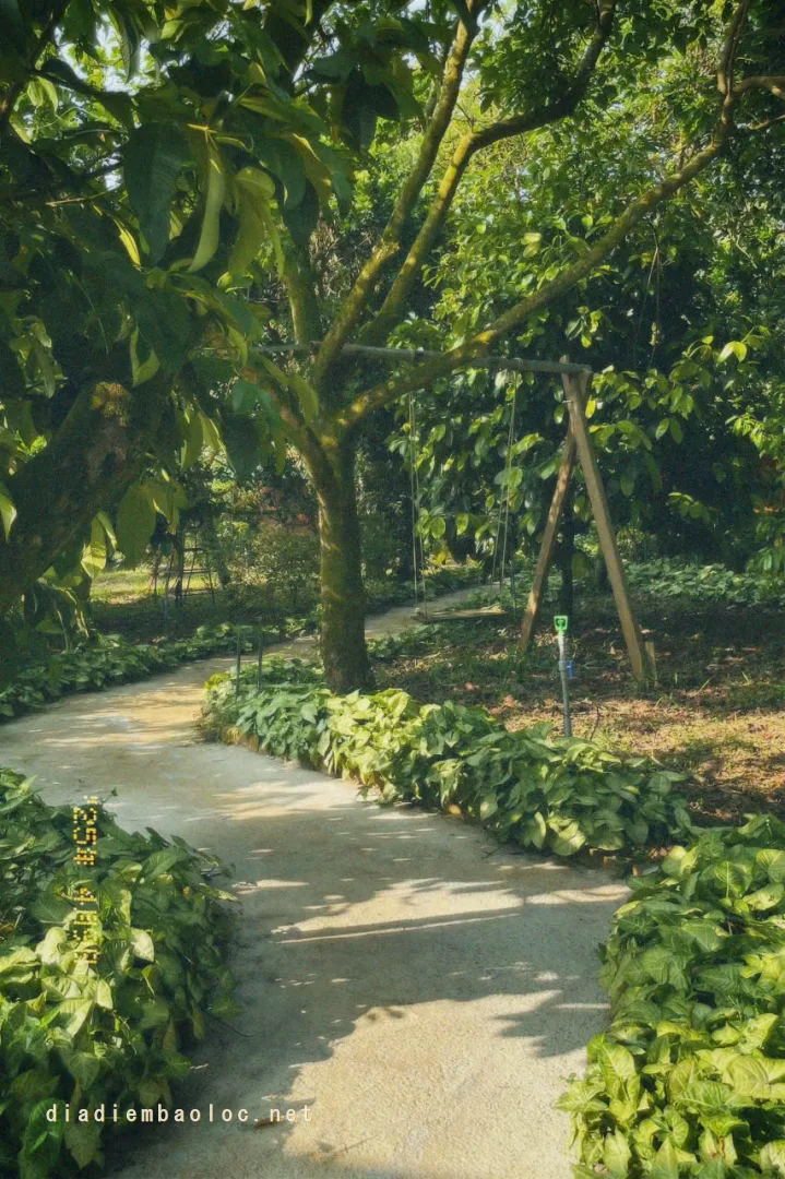 Vô Ưu Garden - ảnh 5
