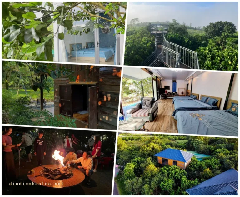 Vô Ưu Garden – Chốn Nghỉ Dưỡng Bình Yên