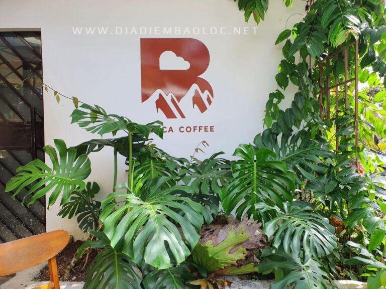 B’laca Coffee 3