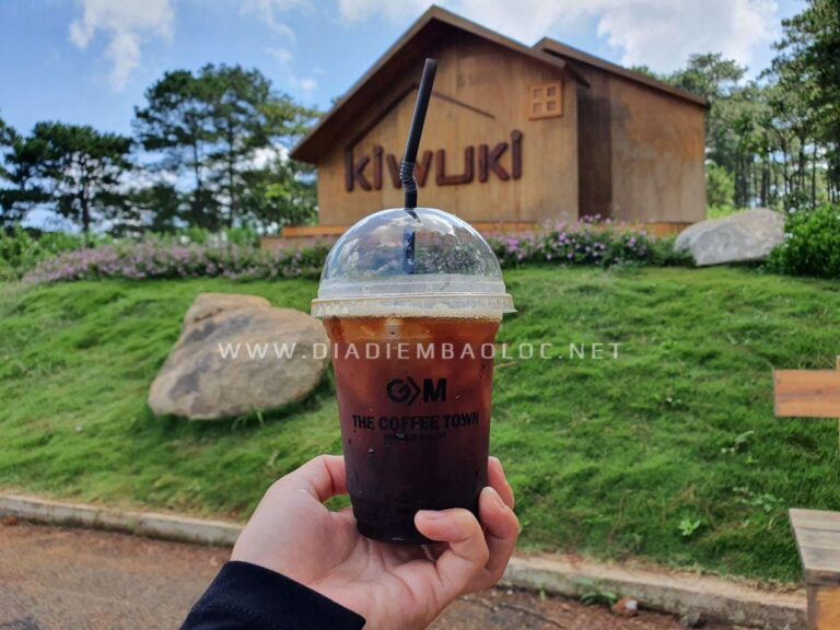 Kiwuki GM Coffee 26