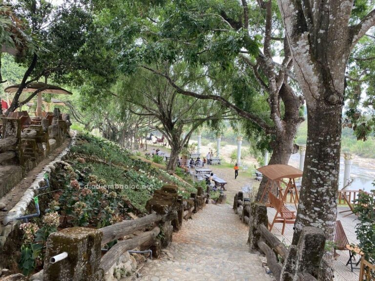 Cafe Suối Ngựa 11
