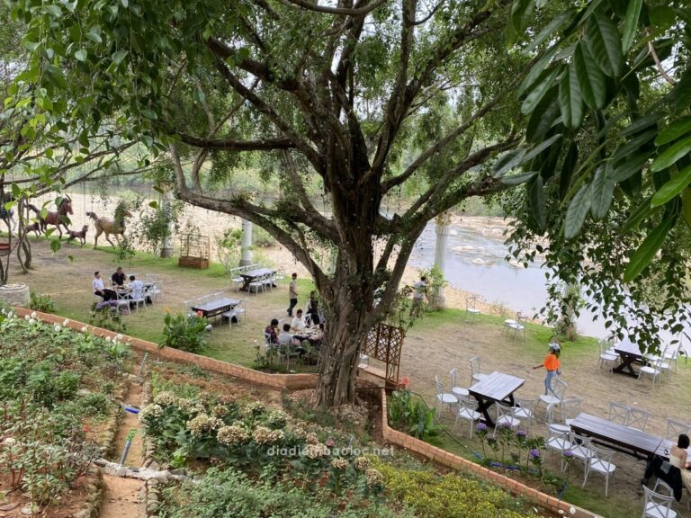 Cafe Suối Ngựa 8