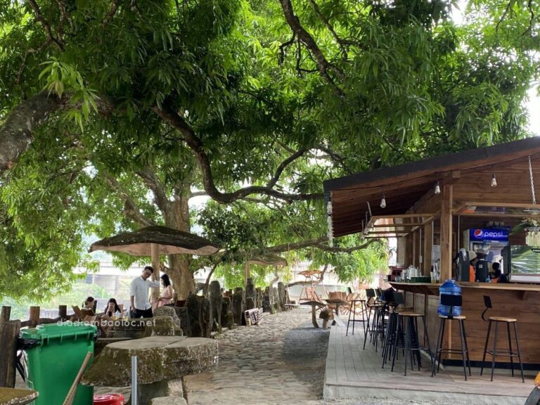 Cafe Suối Ngựa 4
