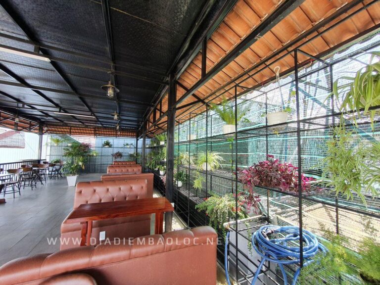 Delab Coffee 9