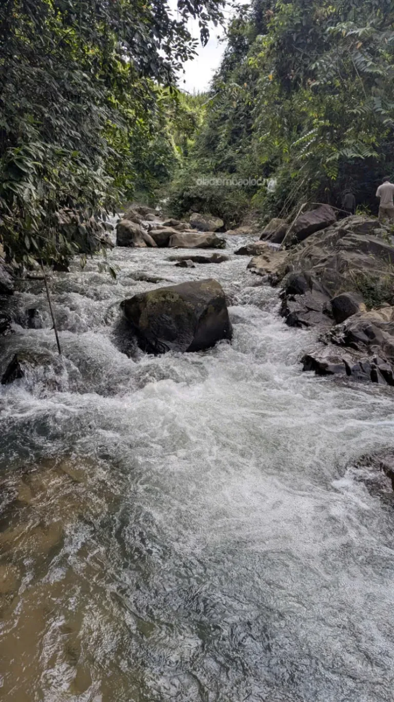 Thác Suối Mơ 19