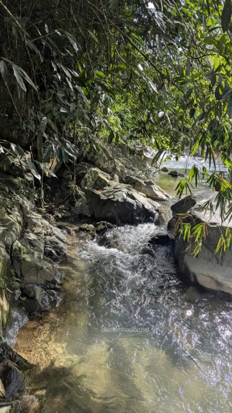 Thác Suối Mơ 18