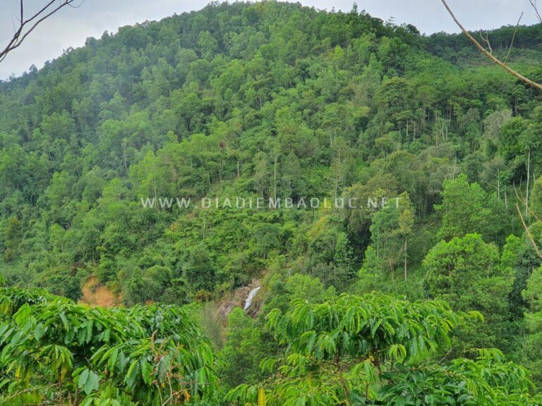 Thác 3 Tầng Suối Cát 1