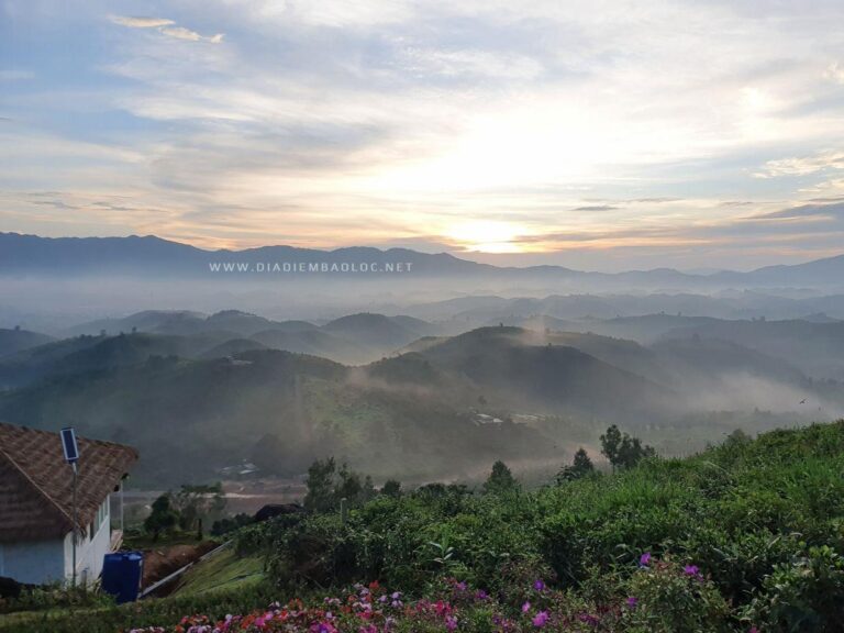Đồi Bát Úp 10
