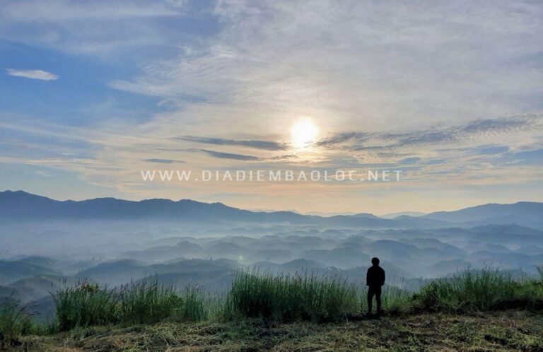 Đồi Bát Úp 11