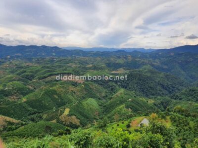 doi bat up thang 082022 (3)
