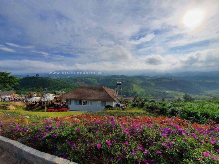 Cloud Hill Đại Lào 8