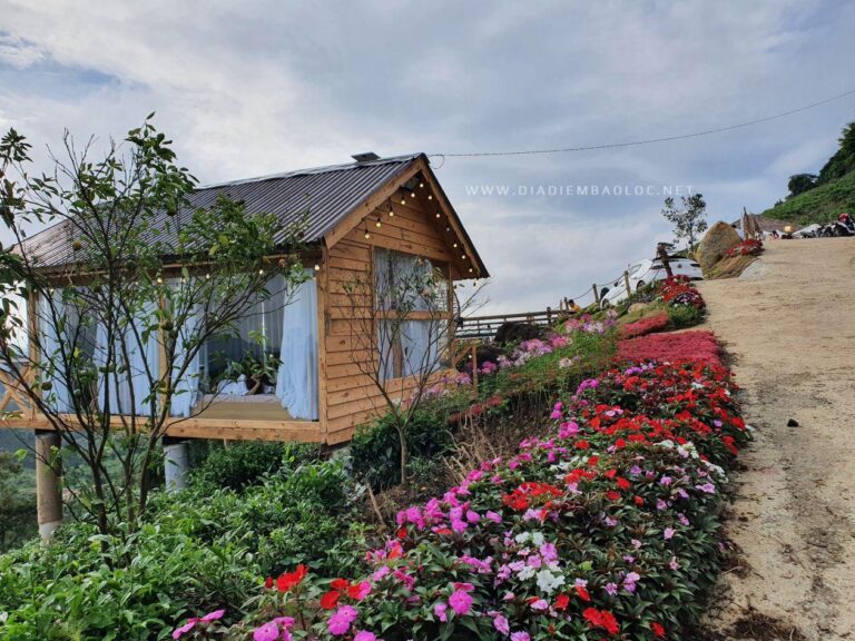 Cloud Hill Đại Lào 2