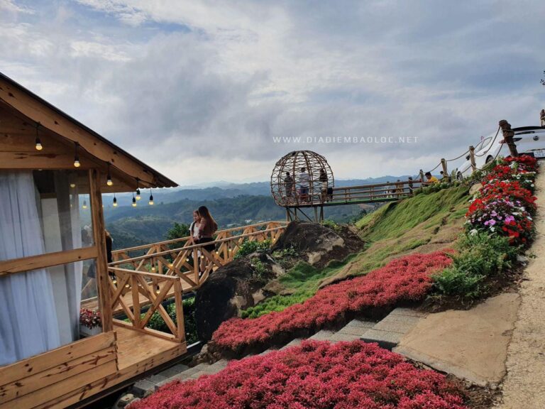 Cloud Hill Đại Lào 3
