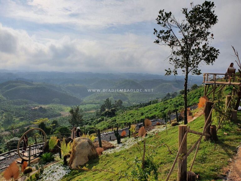 Cloud Hill Đại Lào 7