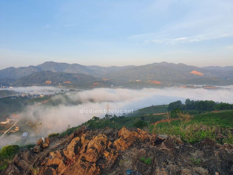 Đồi Lam Sơn 9