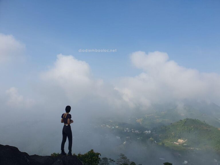 Đồi Lam Sơn 6