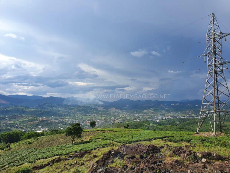 Đồi Lam Sơn 18