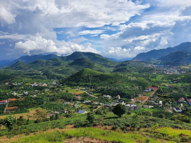 Đồi Lam Sơn 17