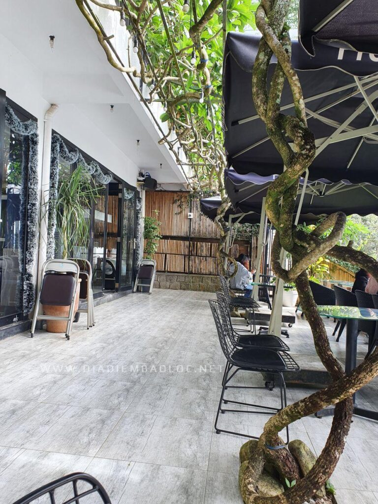 Café Catinat 11