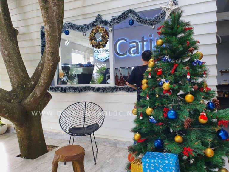 Café Catinat 4