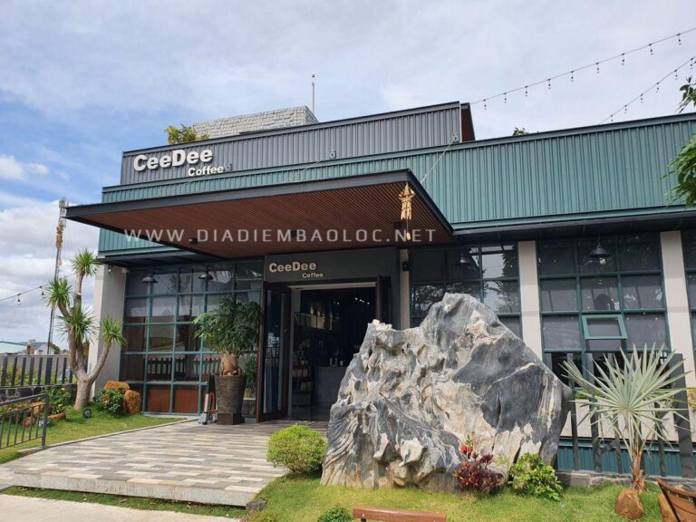 CeeDee Coffee 4