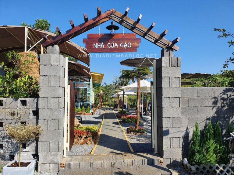 Nhà Của Gạo 1