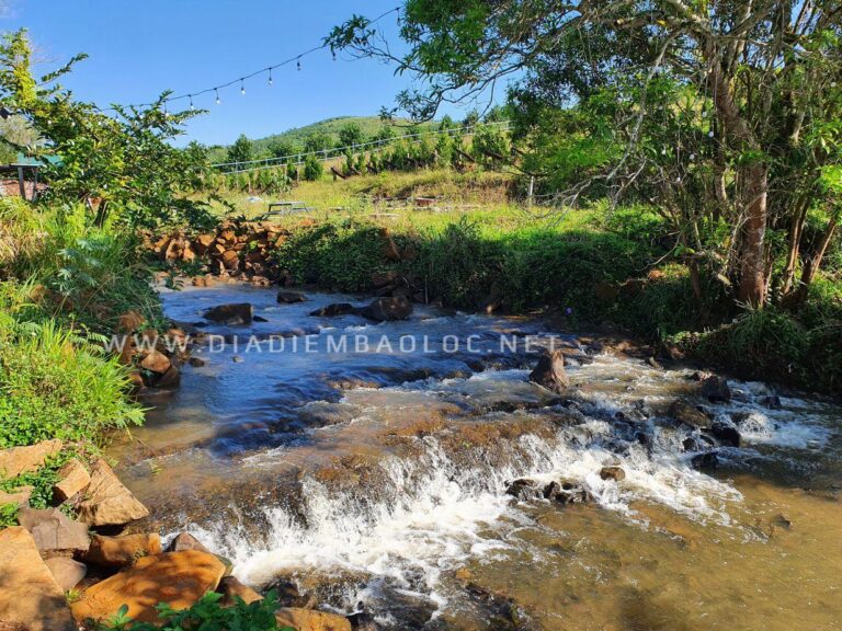 Nhà Của Gạo 17