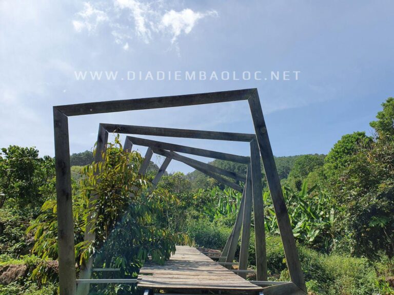 Cà Phê Thời Thanh Xuân 5