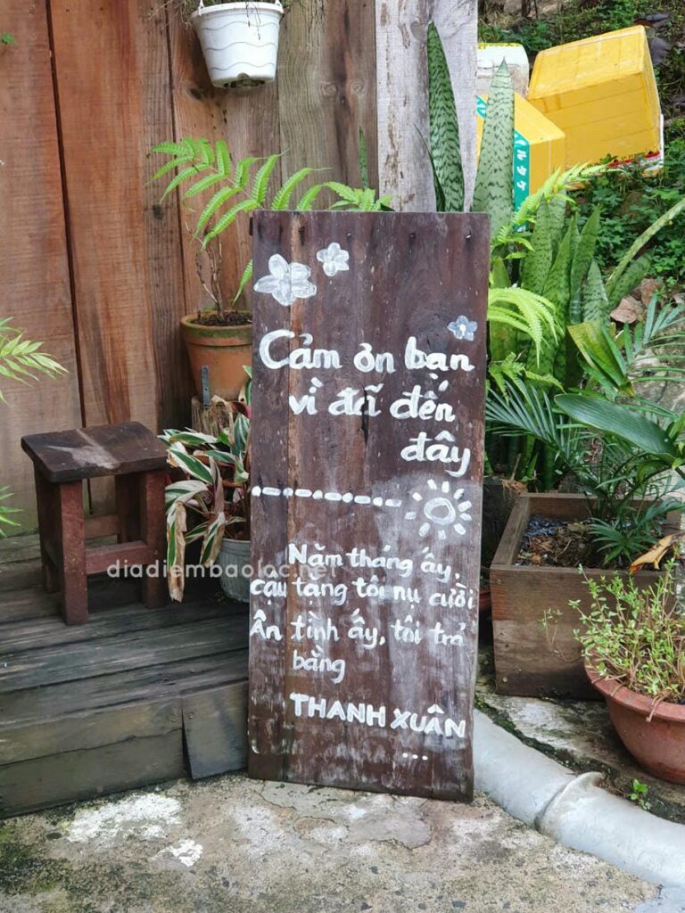 Cà Phê Thời Thanh Xuân 23