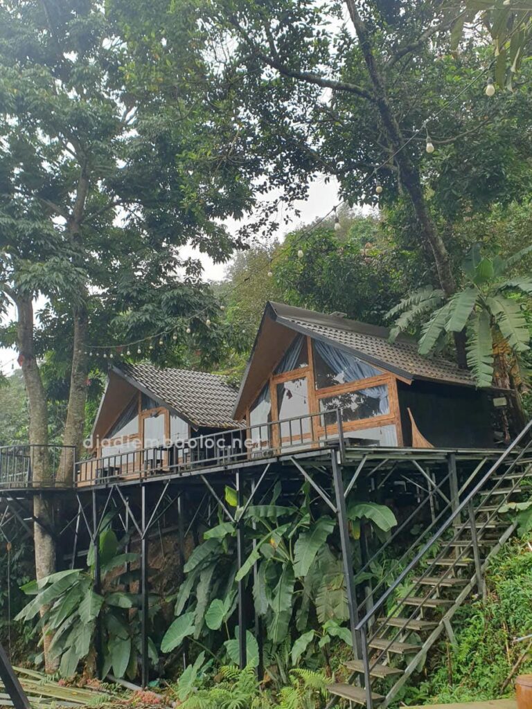 Cà Phê Thời Thanh Xuân 15
