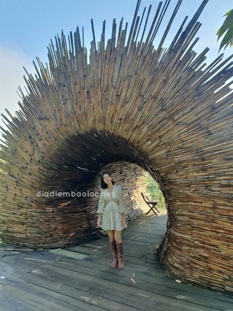 Cà Phê Thời Thanh Xuân 12