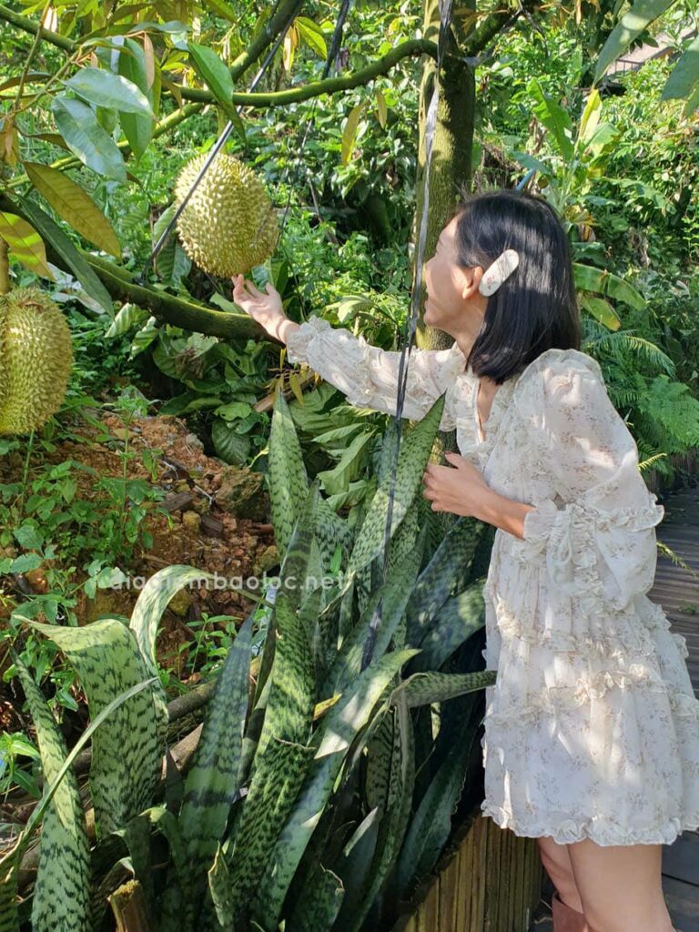 Cà Phê Thời Thanh Xuân 11