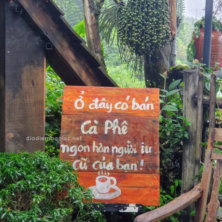 Cà Phê Thời Thanh Xuân 31