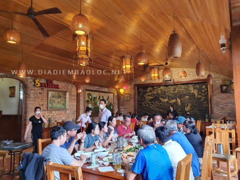 Bách Hỷ An 7