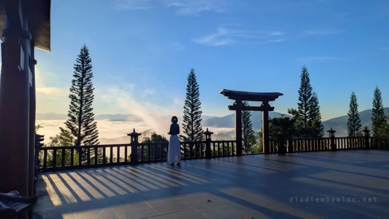 Linh Quy Pháp Ấn 15